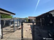 ???? Casă de vânzare – 2 locuințe în aceeași curte, t 