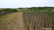 ???? Casă de vânzare – 2 locuințe în aceeași curte, t 