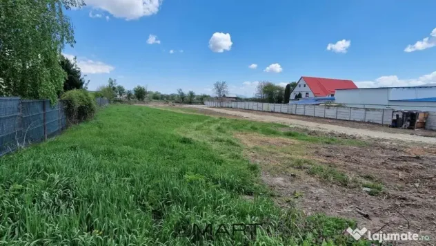 Teren Intravilan Constructii 2440 mp Stupini