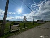 Teren intravilan 22 ari – locul perfect pentru casă sau d 