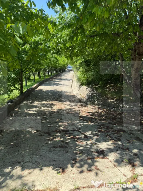 Casă individuală , teren 2248mp, Com. Curtești BOTOȘANI
