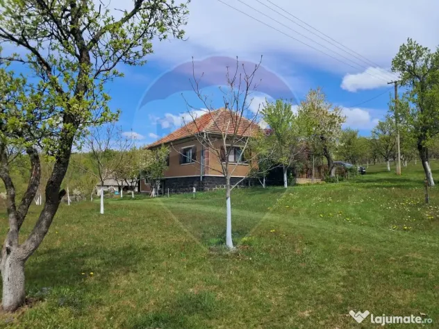 De vanzare casă cu teren 1,17ha la munte, Munteni, Bulz,...