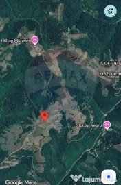 De vanzare casă cu teren 1,17ha la munte, Munteni, Bulz,...