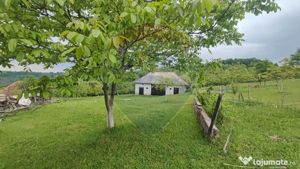 De vanzare casă cu teren 1,17ha la munte, Munteni, Bulz,...