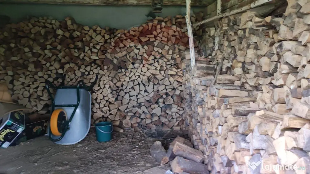 De vanzare casă cu teren 1,17ha la munte, Munteni, Bulz,...