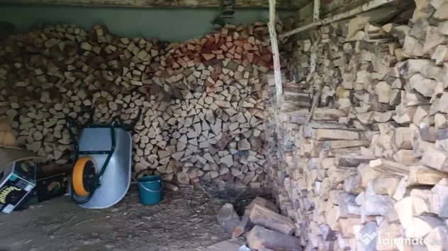 De vanzare casă cu teren 1,17ha la munte, Munteni, Bulz,...