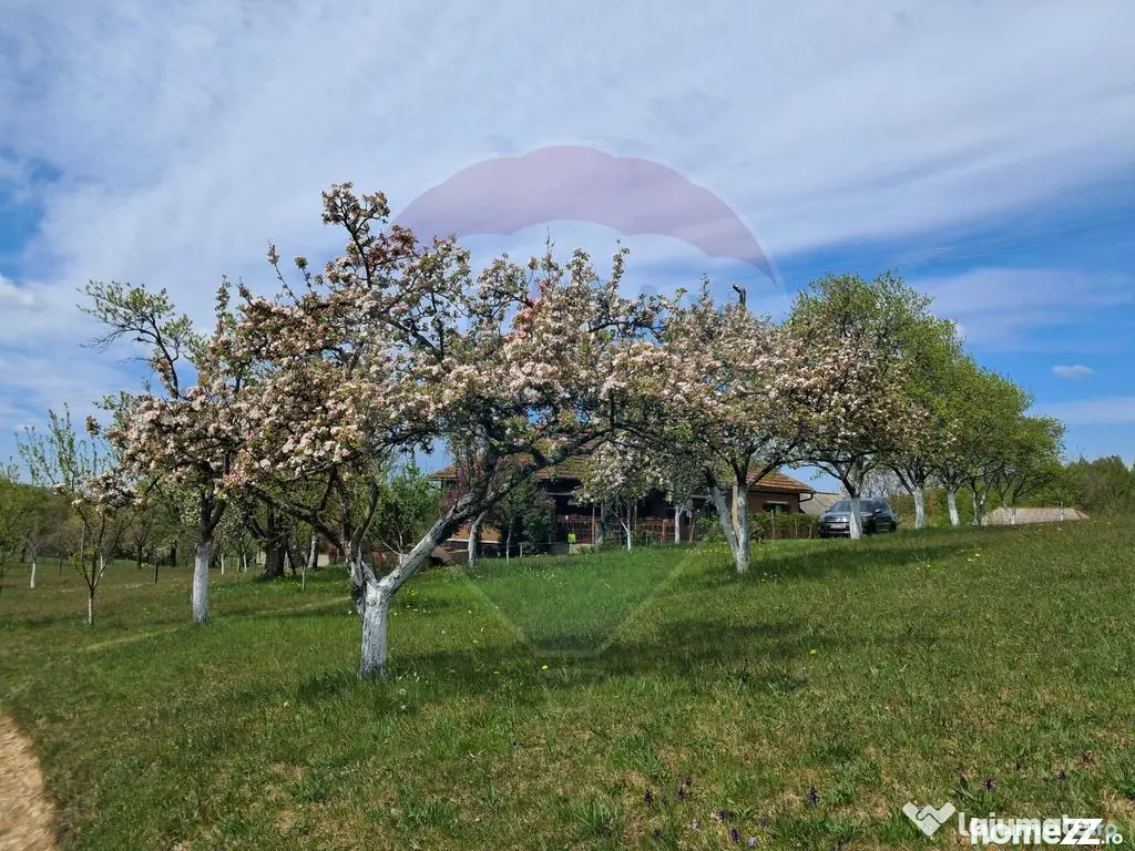 De vanzare casă cu teren 1,17ha la munte, Munteni, Bulz,...