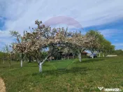 De vanzare casă cu teren 1,17ha la munte, Munteni, Bulz,... 