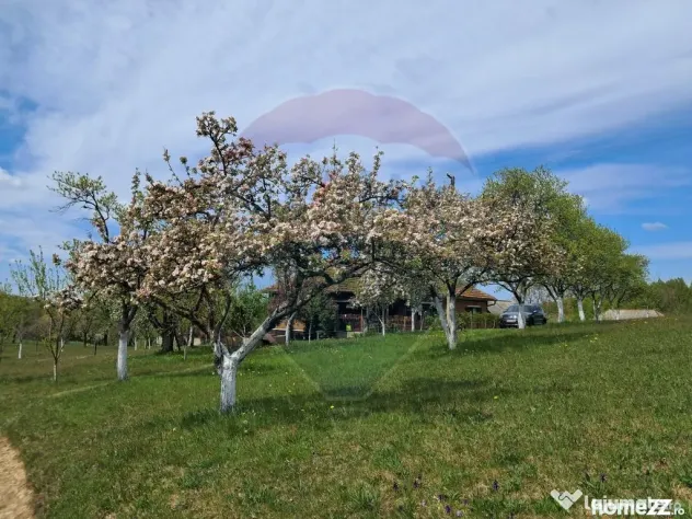 De vanzare casă cu teren 1,17ha la munte, Munteni, Bulz,...