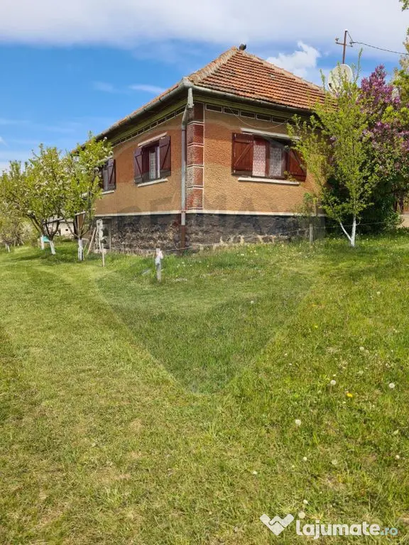 De vanzare casă cu teren 1,17ha la munte, Munteni, Bulz,...