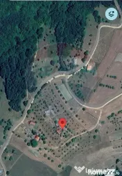 De vanzare casă cu teren 1,17ha la munte, Munteni, Bulz,... 