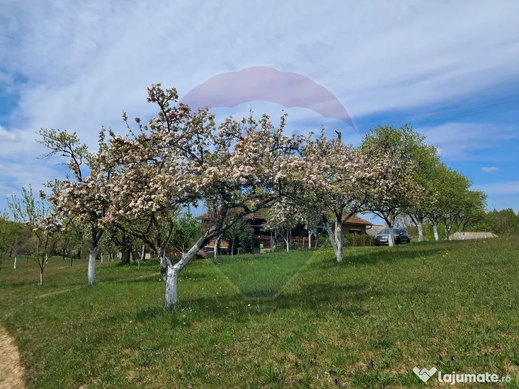 De vanzare casă cu teren 1,17ha la munte, Munteni, Bulz,...