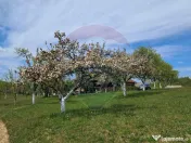 De vanzare casă cu teren 1,17ha la munte, Munteni, Bulz,...