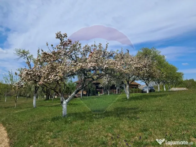 De vanzare casă cu teren 1,17ha la munte, Munteni, Bulz,...