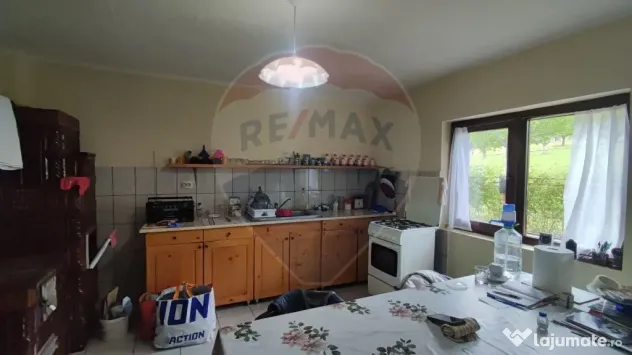 De vanzare casă cu teren 1,17ha la munte, Munteni, Bulz,...