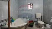 De vanzare casă cu teren 1,17ha la munte, Munteni, Bulz,...