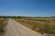 OTOPENI - CARPATILOR, TEREN 1371 MP! 