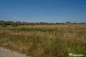 OTOPENI - CARPATILOR, TEREN 1371 MP! 