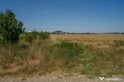 OTOPENI - CARPATILOR, TEREN 1371 MP! 