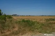 OTOPENI - CARPATILOR, TEREN 1371 MP! 