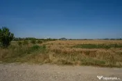 OTOPENI - CARPATILOR, TEREN 1371 MP! 