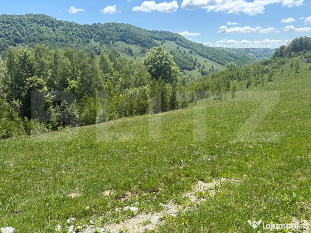 Teren Construibil - Muntele Baisorii, 1000 mp