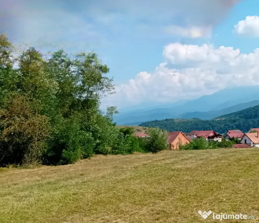 Terenuri in Talmaciu, jud. Sibiu, zona rezidentiala Armeni 2