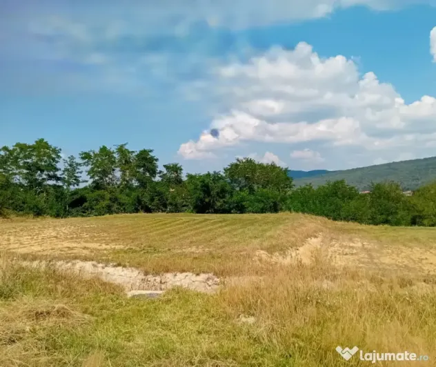 Terenuri in Talmaciu, jud. Sibiu, zona rezidentiala Armeni 2