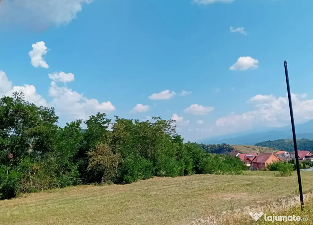 Terenuri in Talmaciu, jud. Sibiu, zona rezidentiala Armeni 2