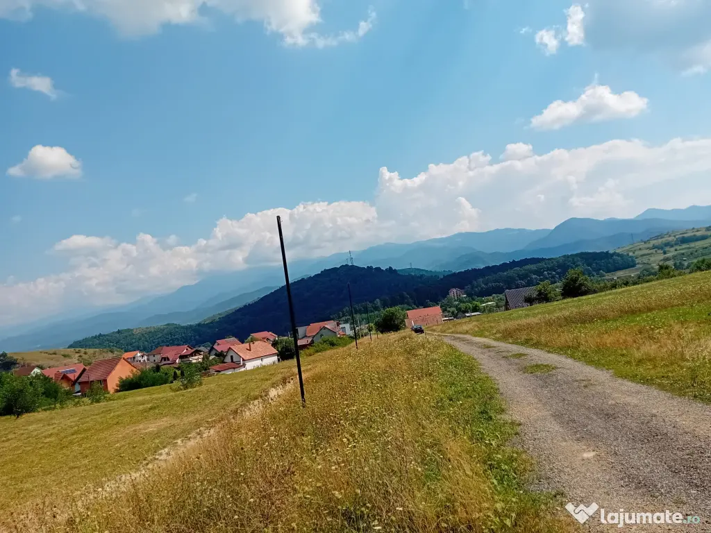 Terenuri in Talmaciu, jud. Sibiu, zona rezidentiala Armeni 2