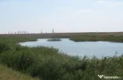Balta Rovine 2 - Crunti, Ialomita 430000mp
