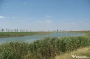 Balta Rovine 2 - Crunti, Ialomita 430000mp