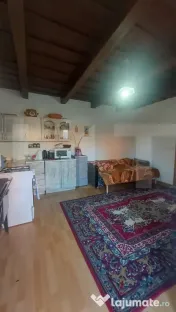Casă cochetă din lemn masiv cu teren și livadă – lini? 
