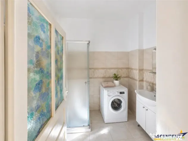 Casa cu spatiu comercial, 1.000mp teren anexe, areal Central