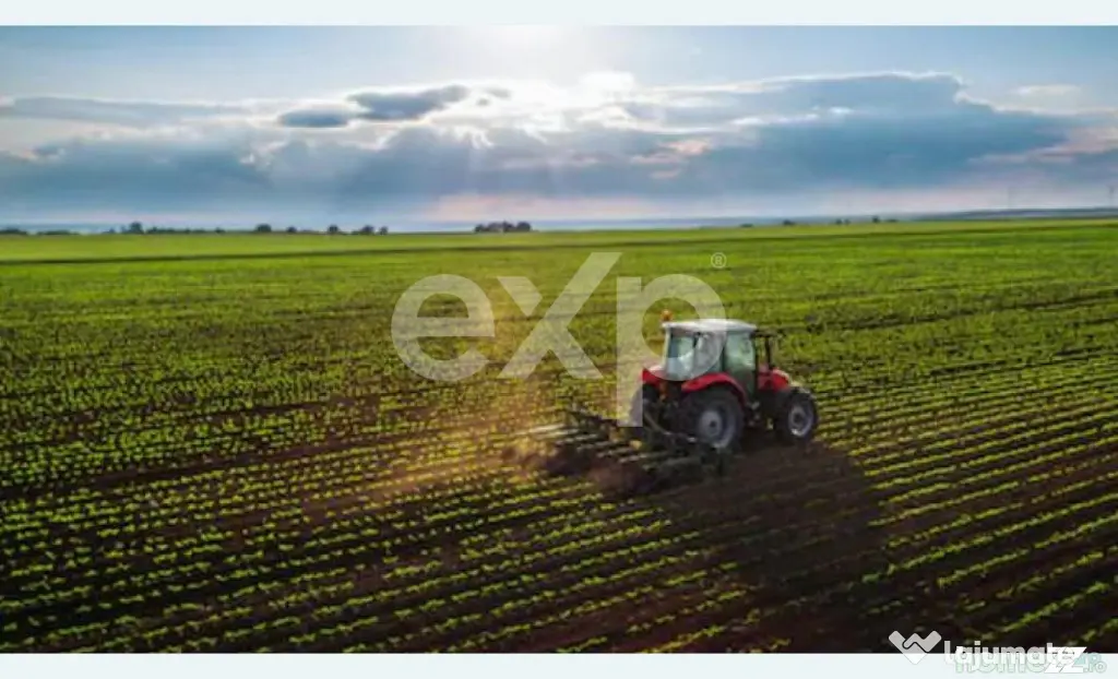 Teren agricol extravilan de vânzare – 22.960 mp – Măre