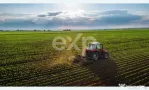 Teren agricol extravilan de vânzare – 22.960 mp – Măre