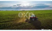 Teren agricol extravilan de vânzare – 22.960 mp – Măre 