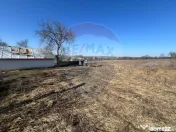 Casă cu 7000mp teren intravilan Movilita 
