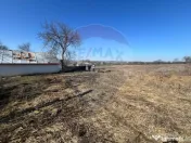 Casă cu 7000mp teren intravilan Movilita 