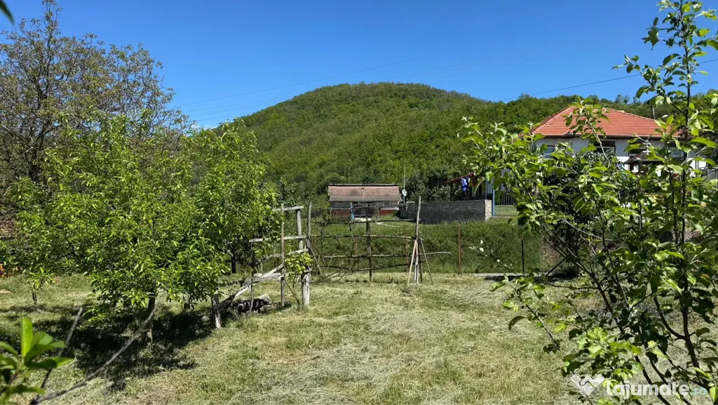 teren intravilan Tinca