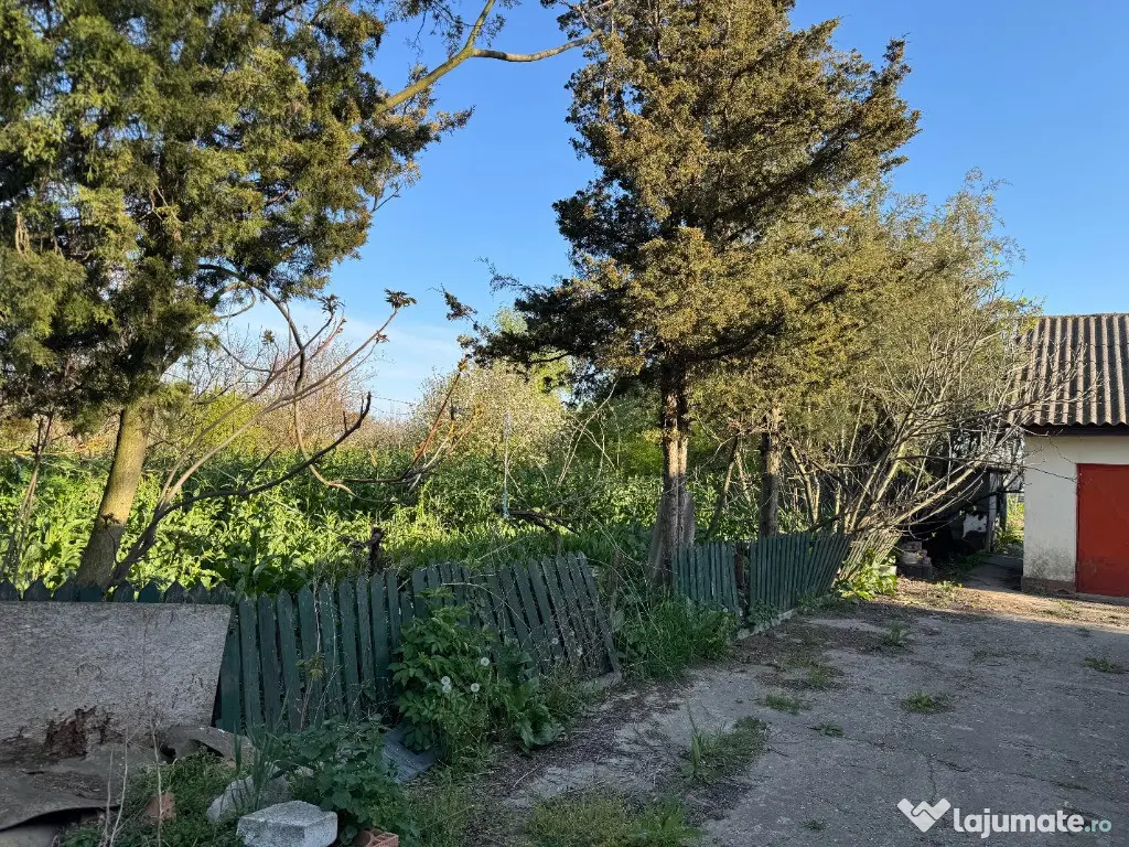 Persoana fizica vând Casa batraneasca si anexe– Mereni, CTA