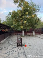Vilă P+1 de 260 mp în Drăgănești-Olt – ideală pentru 