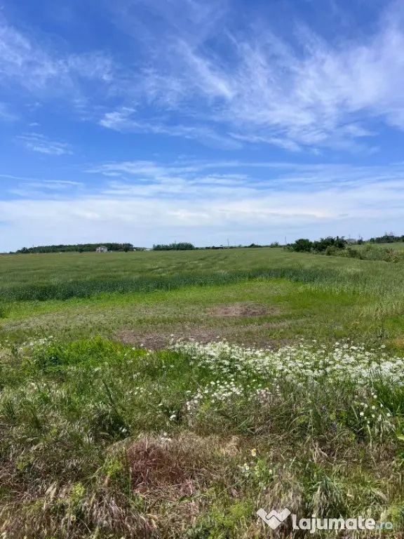 Teren intravilan, 1200 mp – Cârcea, zona Veropan (Depozit
