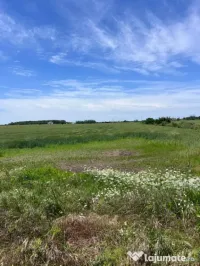 Teren intravilan de vânzare – Cârcea, zona Veropan (Depo
