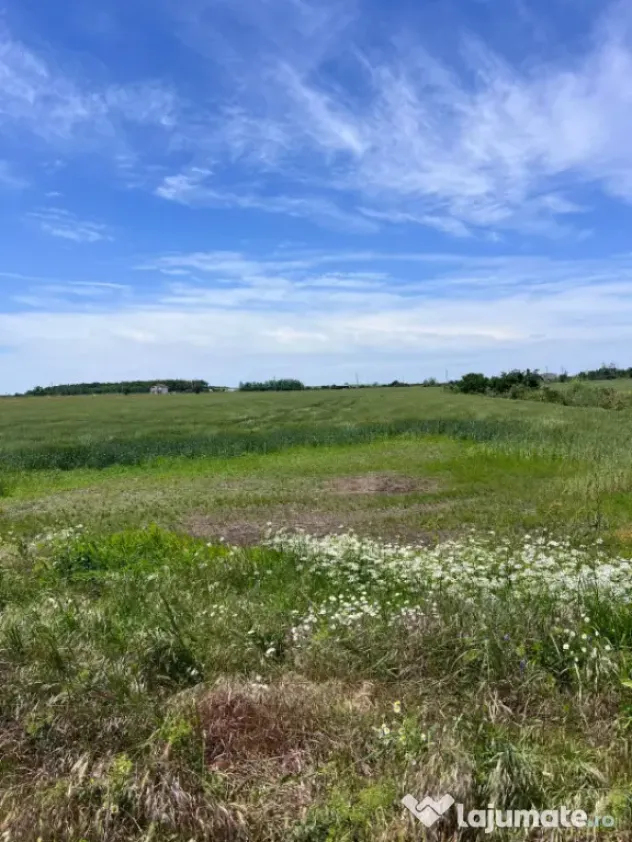 Teren intravilan, 1200 mp – Cârcea, zona Veropan (Depozit