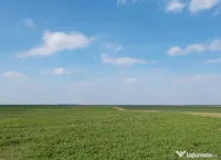 Teren extravilan 2000 mp la 25 km de Bucuresti 