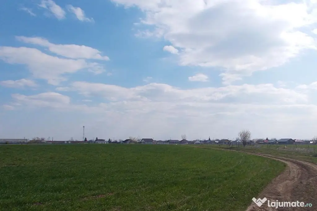 Teren extravilan 2000 mp la 25 km de Bucuresti