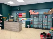 Spatiu comercial stradal cu vitrina generoasa - Calea Mosilo