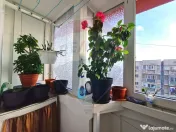 Apartament cu 4 camere de închiriat în zona 13 Septembr... 