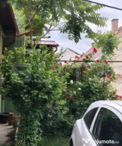 Casă zonă ultracentrală, curte comună, 50 mp, cu loc de 